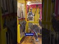 🎢 PARQUE DEL CAFÉ 1 DÍA ☕ Pasaporte Múltiple, Shows y Atracciones 🌄