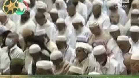 سورة نوح خالد الغامدي