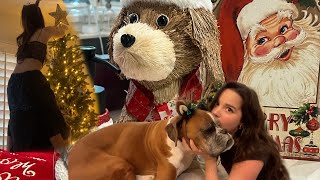 decorating for christmas vlog!!! | Jules LeBlanc