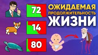 Что не так с «ожидаемой продолжительностью жизни»? | DeeaFilm