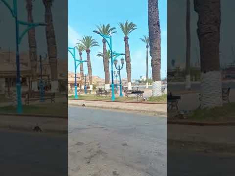 مدينة أرزيو وهران