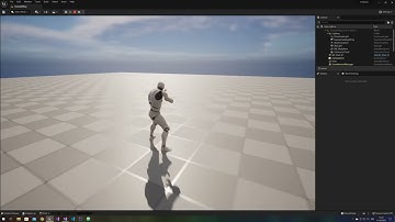 Fireteam - Third Person Camera - Unreal Engine 5