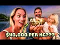 Are We Rich??? Sailing Vessel Delos Ep. 433