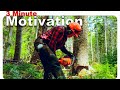 Fusing Our Fixation of Forest & Film (Motivational)