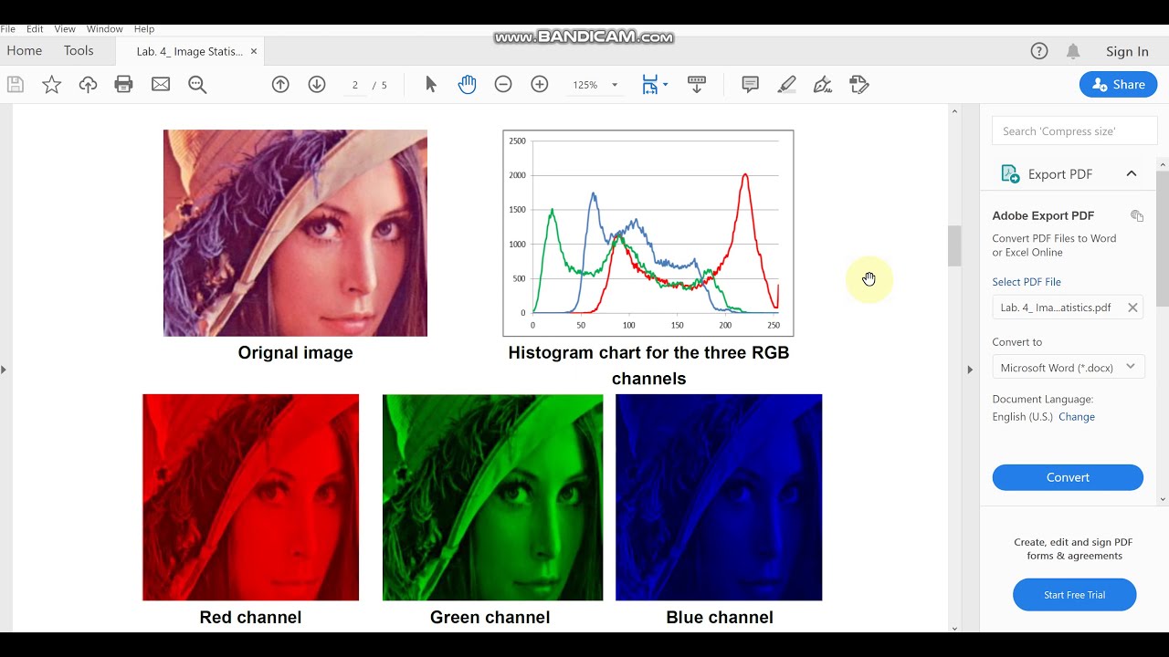 Lab. 4 Image Statistics - YouTube