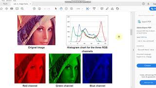 Lab. 4 Image Statistics