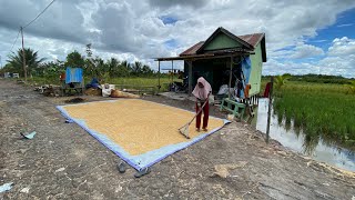 JELANG LIMA TAHUN PEMUKIMAN TRANSMIGRASI SP10 TANJUNG BUKA BULUNGAN KLIMANTAN UTARA