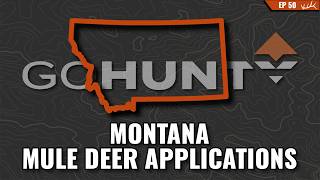 Montana Mule Deer 2026: Draw Odds, Units & Realistic Expectations