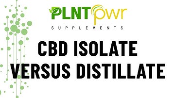 CBD ISOLATE VERSUS CBD DISTILLATE - CBD Extraction Processes