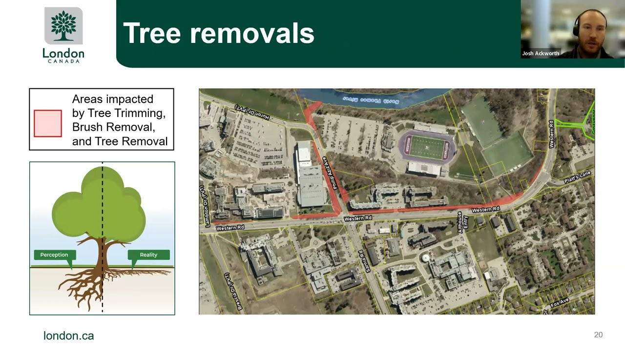 Вебинар по улучшению коридора и перекрестка на дорогах Western Road, Sarnia Road, Philip Aziz Ave...