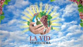 Video thumbnail of "MINISTERIO MUSICAL LA VID VERDADERA (HERMANO TU QUE PEDICAS)"