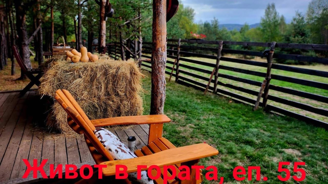ЕСЕН в гората, епизод 55#cabinhouse#offgridliving#сглобяемакъща#offgrid#есен#малкакъща#вила#село#
