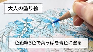 大人の塗り絵｜色鉛筆３色で葉っぱを青色に塗ってみた｜エポルさん「森の少女」