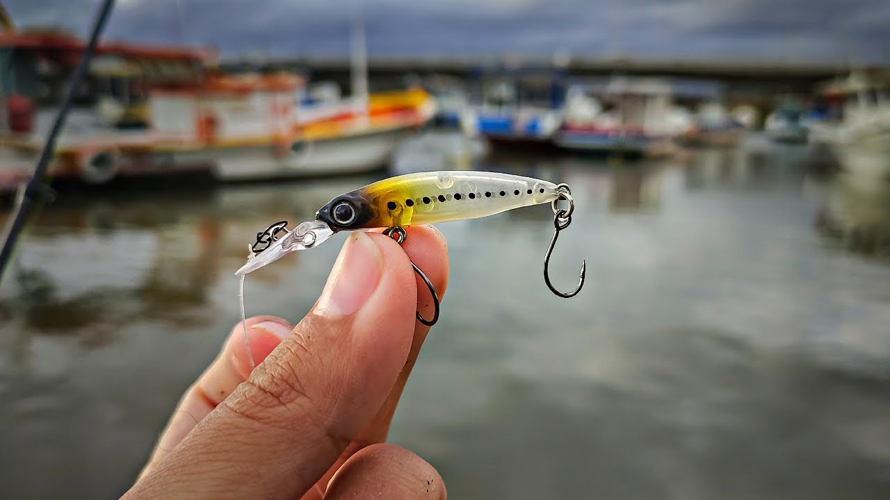 ELA JÁ CHEGOU RESOLVENDO... ISCA L-KINHA! Pescaria Ultralight