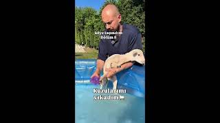 Köye Taşındım Part 2 Cem Özkök