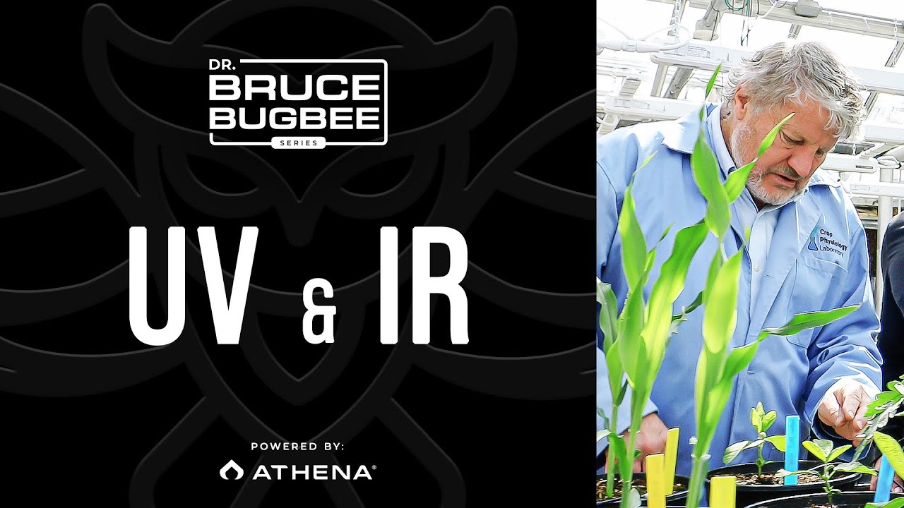 Bruce Bugbee Series – UV & IR