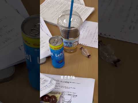 종강을 기다리며... #대학생 #종강 #대학생브이로그