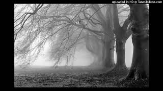 MoonVampire - Vampire II/Suicide