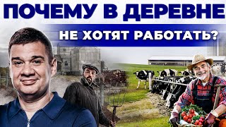 Тяжелый труд и низкие зарплаты. Почему люди не хотят работать в сельском хозяйстве? Андрей Даниленко