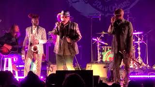 Elvis Costello + Preservation Hall Jazz Band: &quot;Who&#39;s Gonna Help Brother Get Further&quot; (5/6/2022)