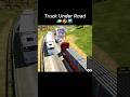 Truckersmp / Truck under road 🛣️😂