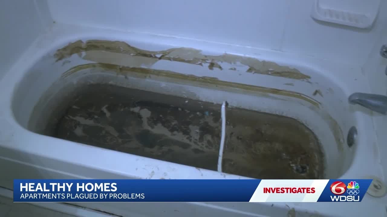 WDSU Investigates: Healthy homes concerns