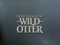 On The Tracks of the Wild Otter (1983)