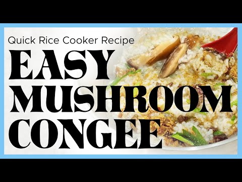 Perfect Cozy Congee