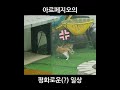 아르페지오 마스코트? 흔한일상~