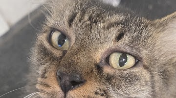 Arc Raiders LIVE: I Have No Clue What I