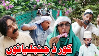 KOR DA JANJALYANO Pashto Funny Video By Sherao Vines Vlogs