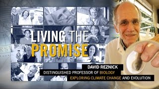 Living the Promise: David Reznick