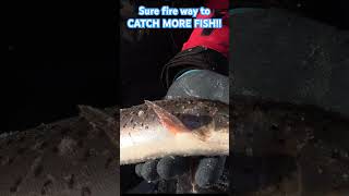 #catchmorefish #shortsvideo #fishing #shortvideo #icefish #icefishing #short #trout