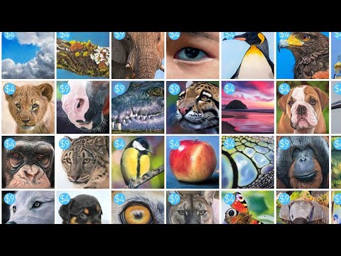 Pastel Lessons Online