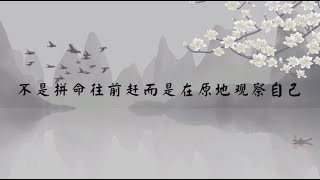 【子归家】聊天室 | No.2312 不是拼命往前赶而是在原地观察自己 | 法门类 旁观 | 03 佛教修证系列 | 杨宁