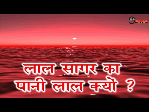 वीडियो: लाल सागर कहाँ है