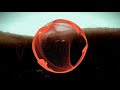 SadBois x Diamond Eyes - Happier Sinners || AL/EXTREME Mashup
