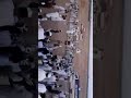 ودمشري