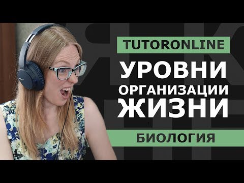 Биология | Уровни организации жизни