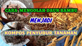 MANFAAT HUMUS DAUN BAMBU UNTUK TANAMAN
