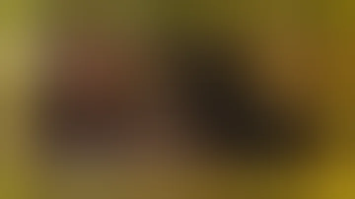 Choose Vegan Leather for a More Compassionate, Sustainable World