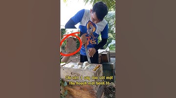 thu hoạch mật ong bánh tổ không nên bỏ quá bước này