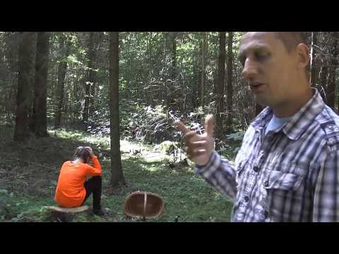 Video: Ką Daryti, Jei Pasiklysti Miške