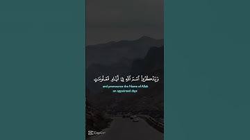 سعد الغامدي #تلاوة_خاشعة #اكسبلور #المصحف #لايك #قران_كريم #قرآن #سعد_الغامدي