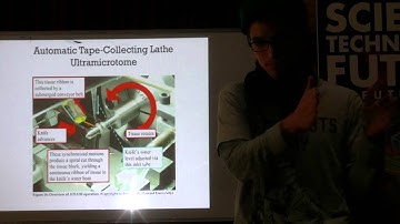 Future Day - James Fodor - Whole Brain Emulation