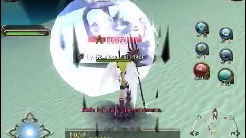 Halberd Build Punish & Crit spear ToramOnline