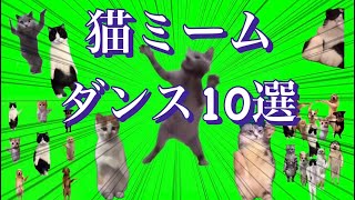 猫ミーム素材ダンス素材10選