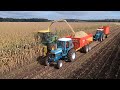 Chopping corn with John Deere & Ford