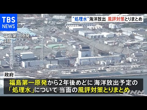 原発処理水で魚を飼育  福島第一原発処理水の風評対策