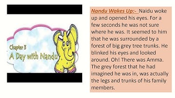 A DAY WITH NANDU, EVS, CLASS 4 (PART 1)